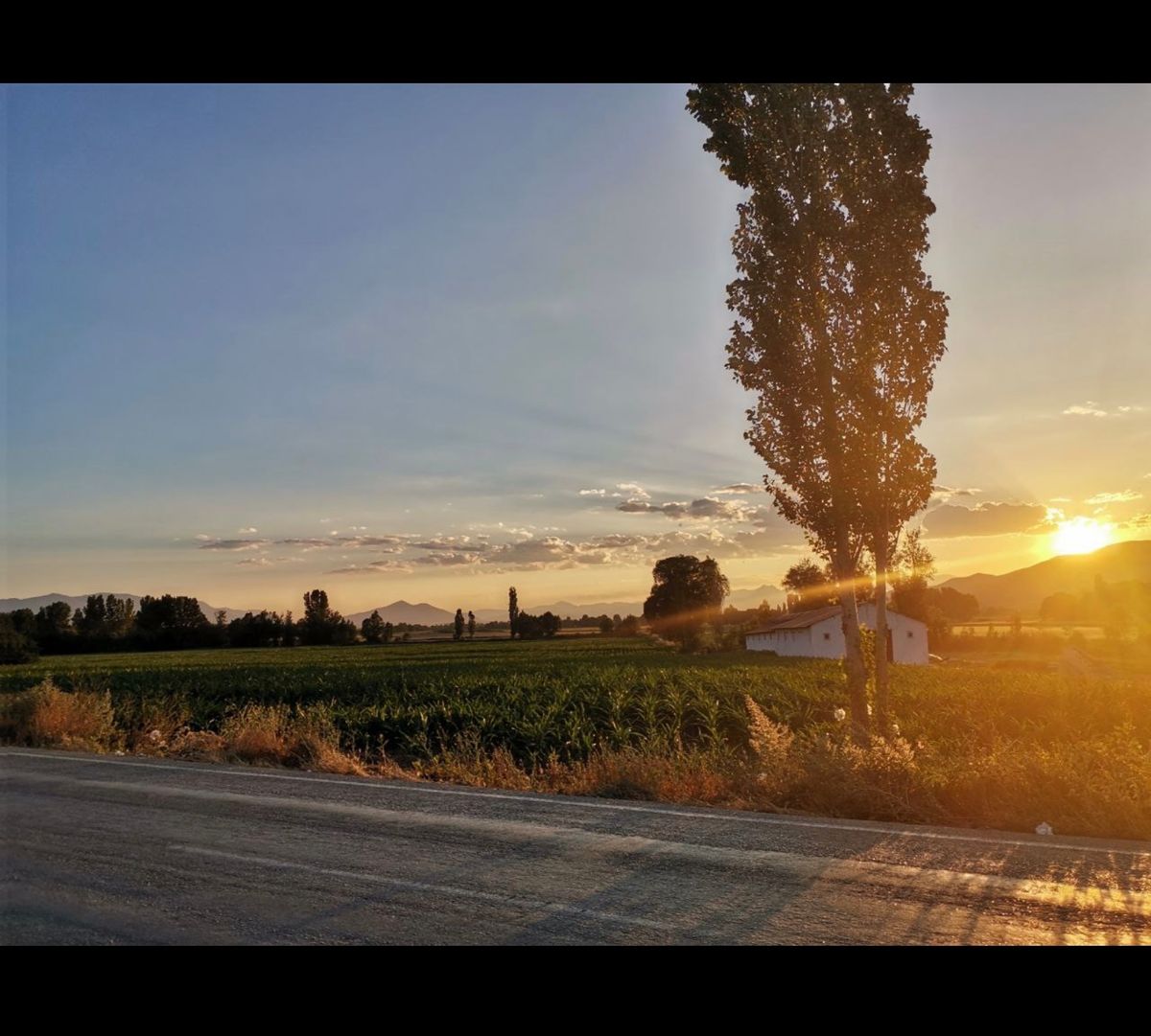Gönderi görseli