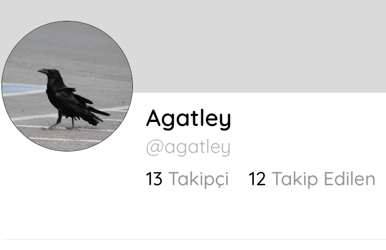 Gönderi görseli