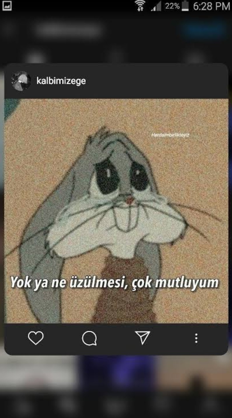 Gönderi görseli