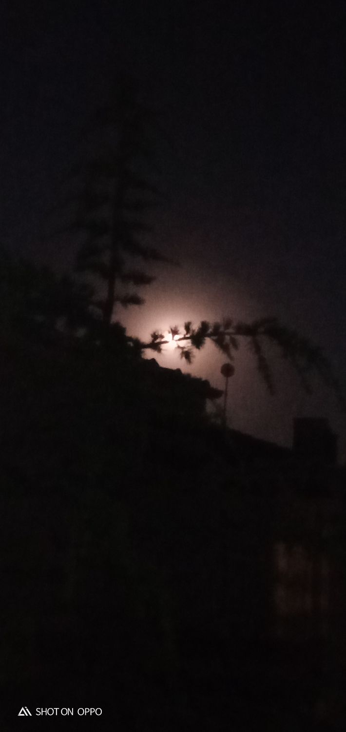 صورة المنشور