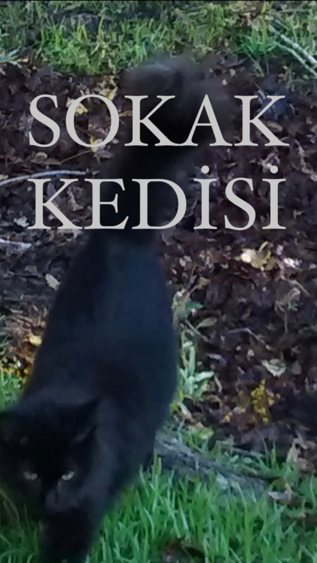 Gönderi görseli