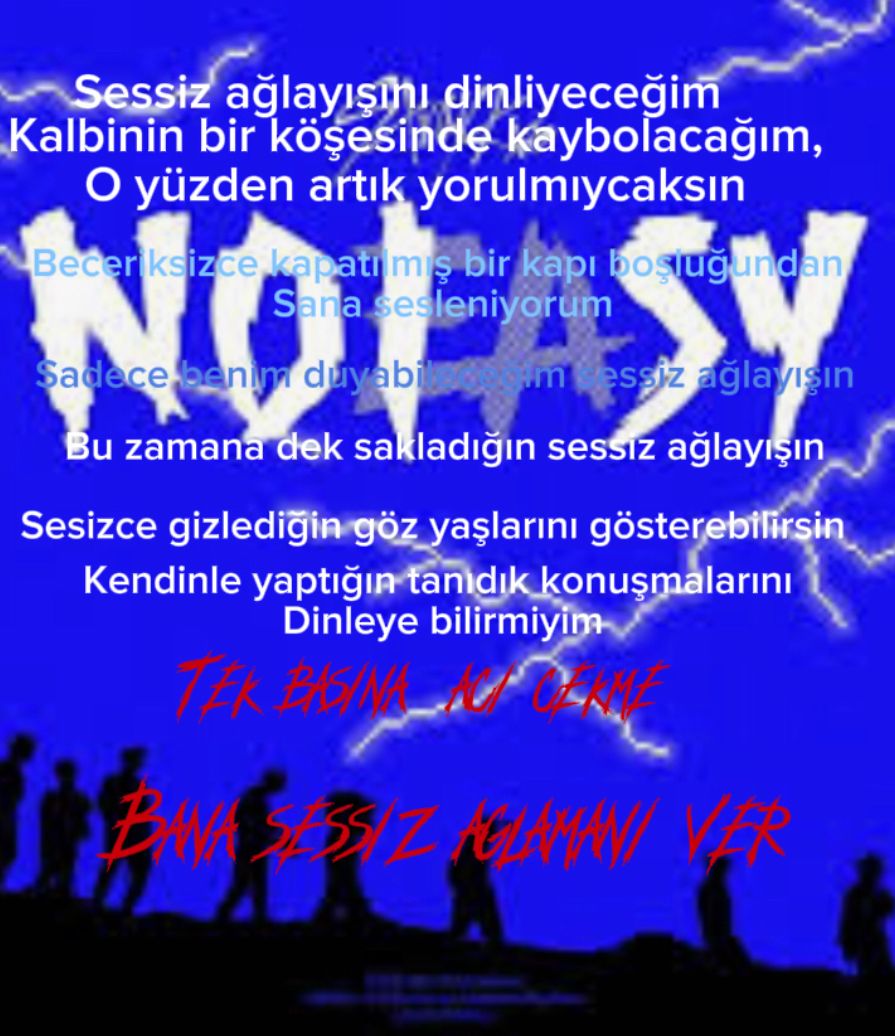 صورة المنشور