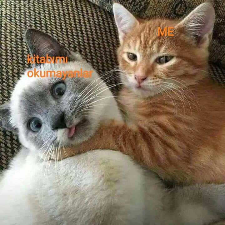 Gönderi görseli