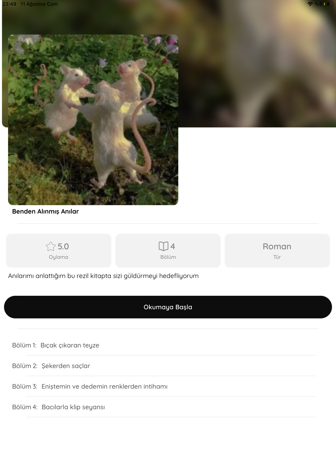 Gönderi görseli