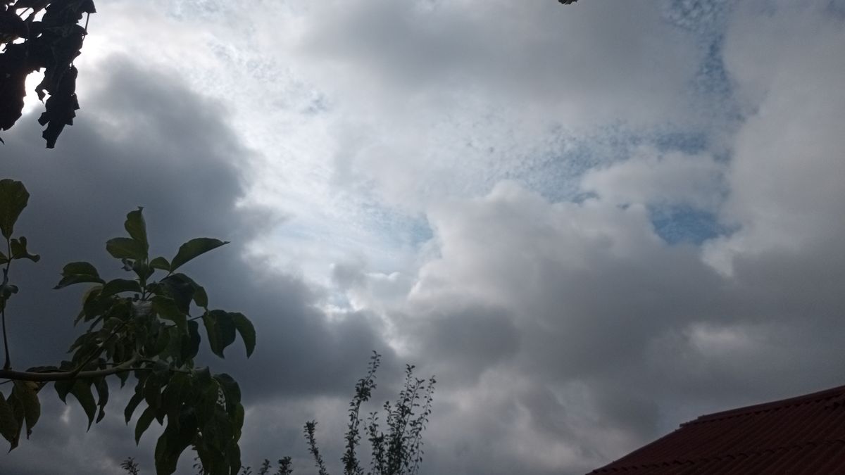 صورة المنشور