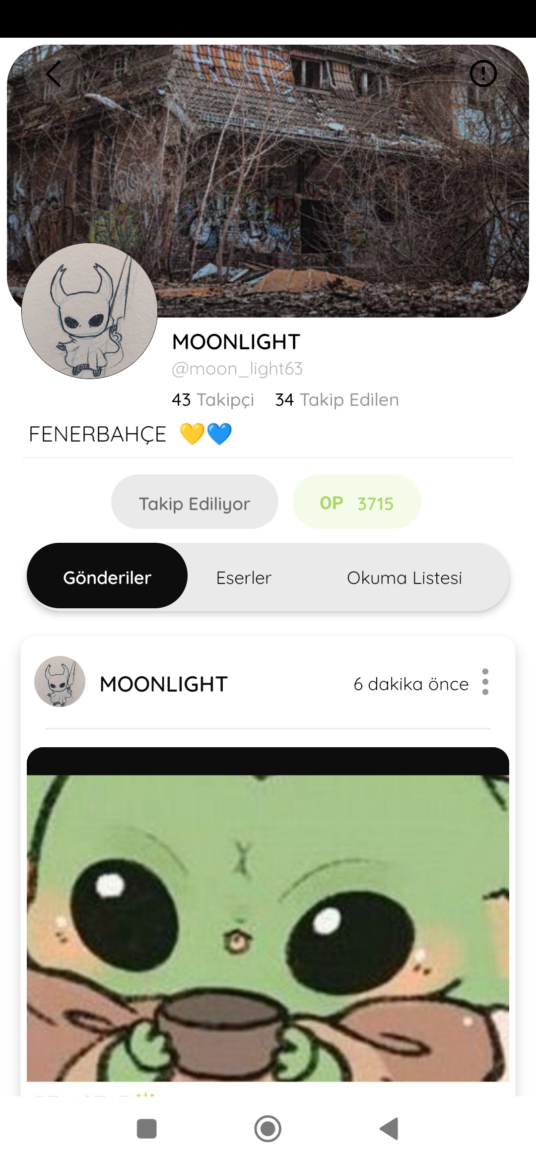 Gönderi görseli