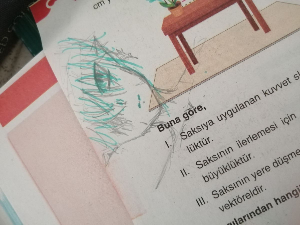 Gönderi görseli