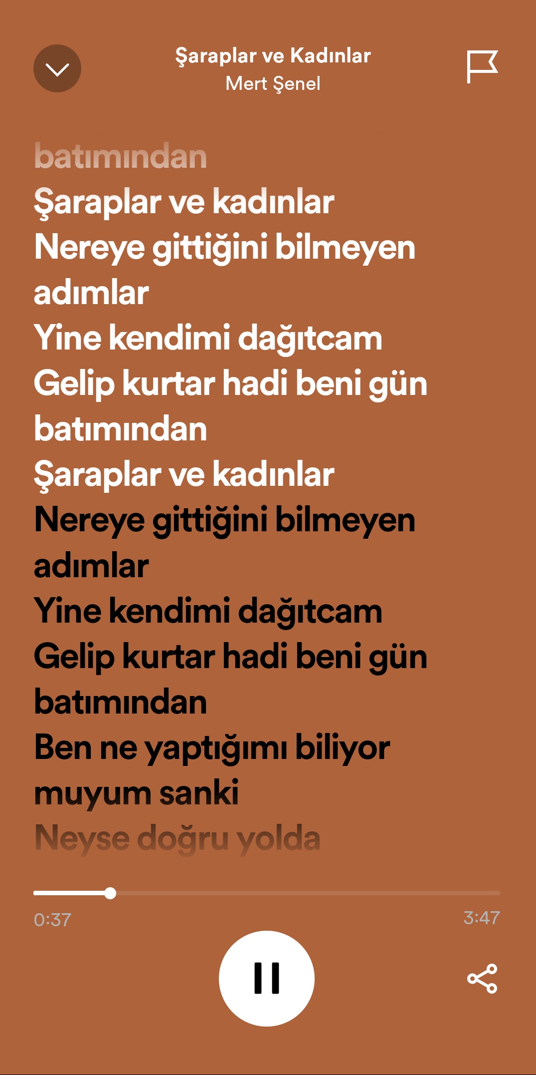 Gönderi görseli