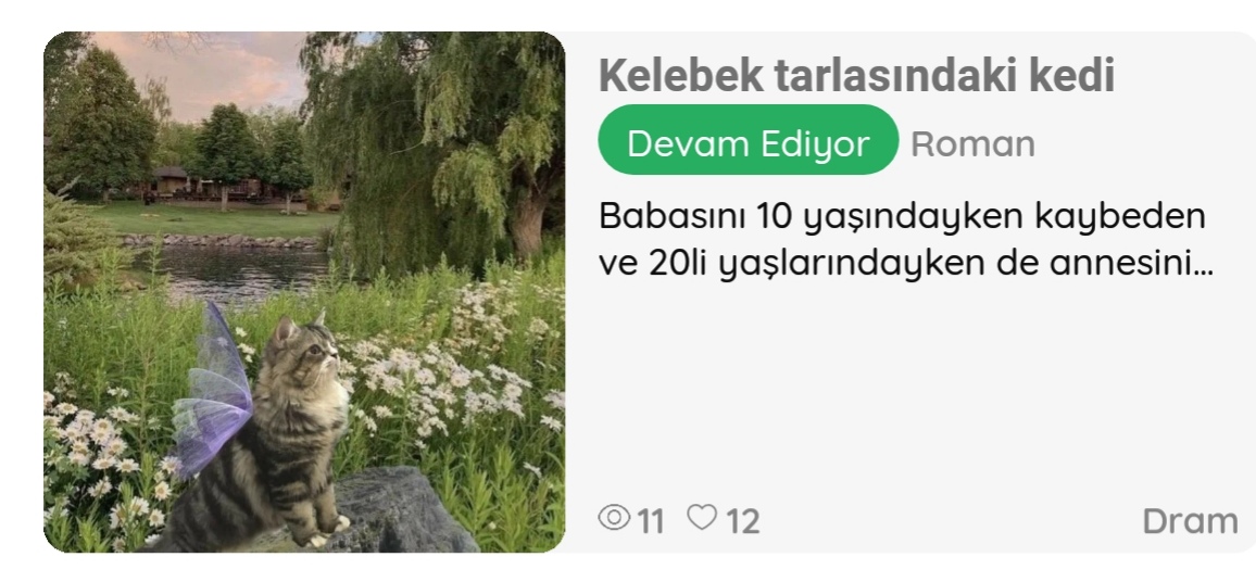 Gönderi görseli