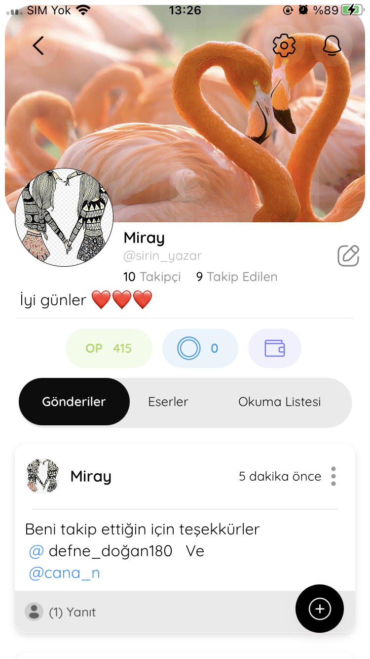 Gönderi görseli