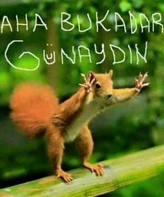 Gönderi görseli