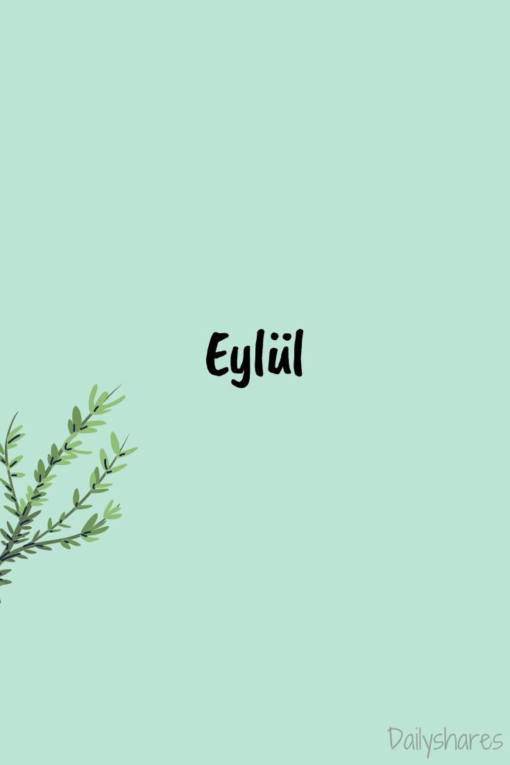صورة المنشور