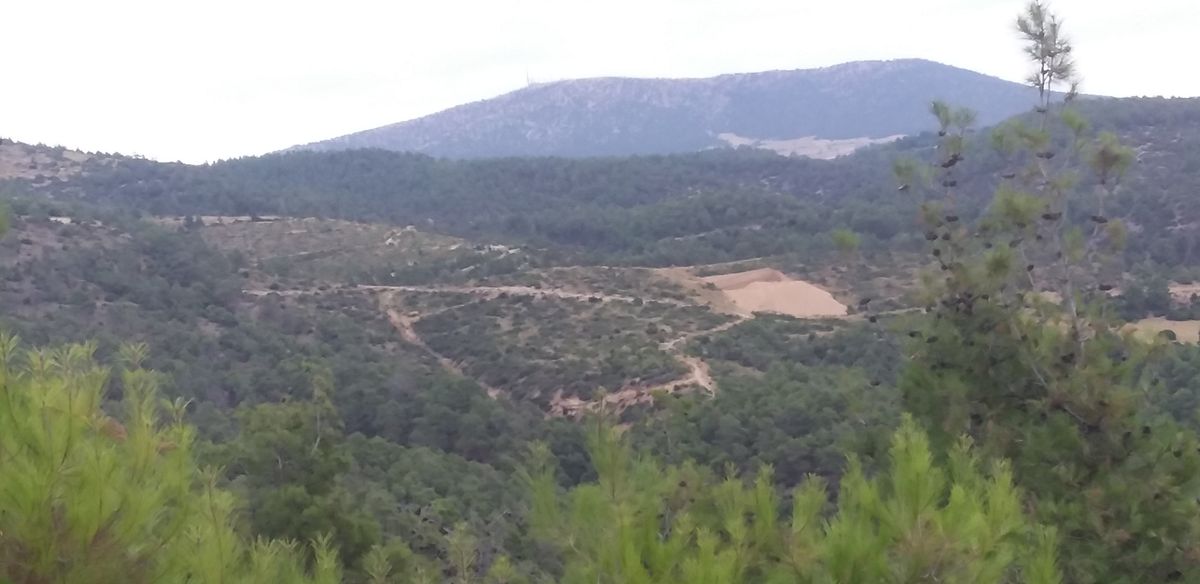 Gönderi görseli