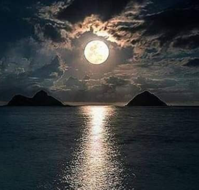 صورة المنشور