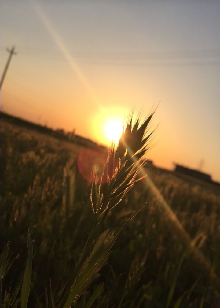 Gönderi görseli