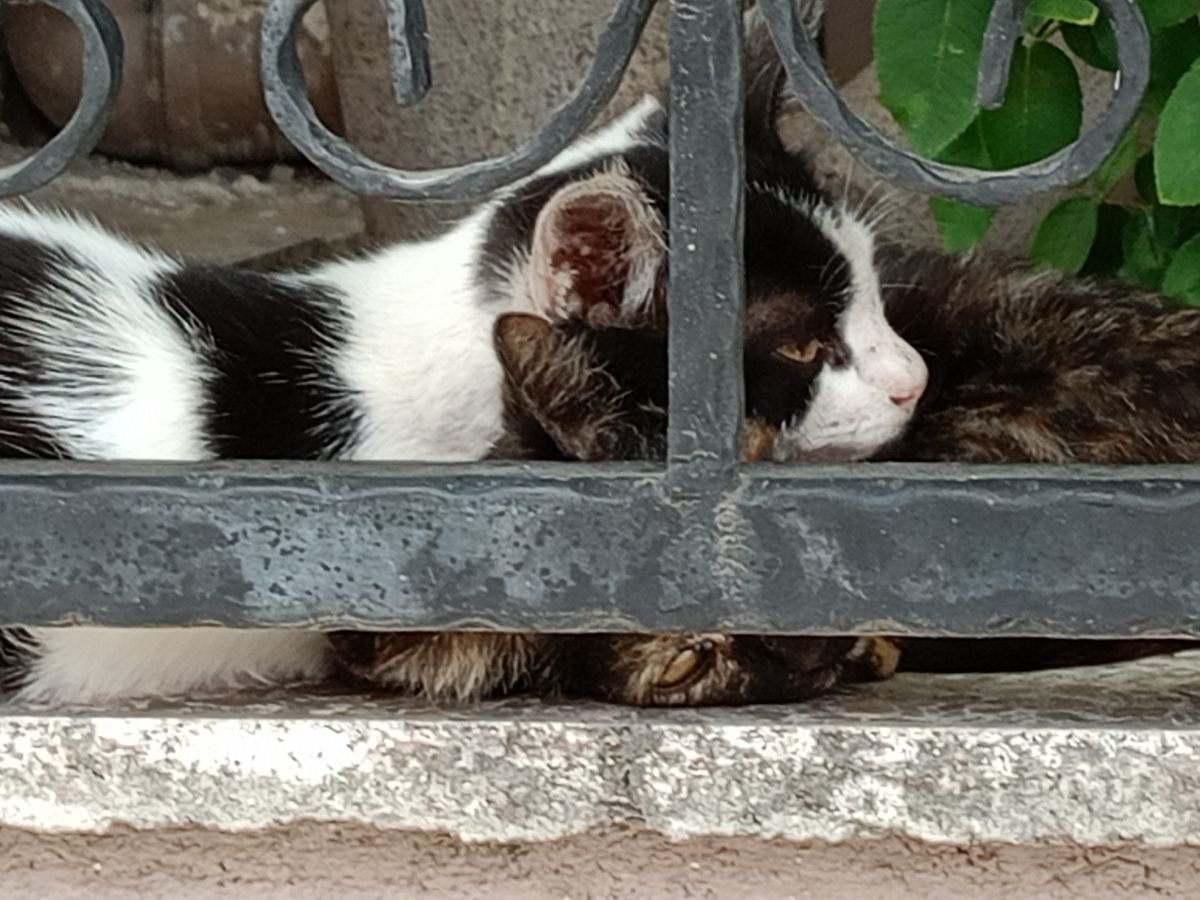 Gönderi görseli