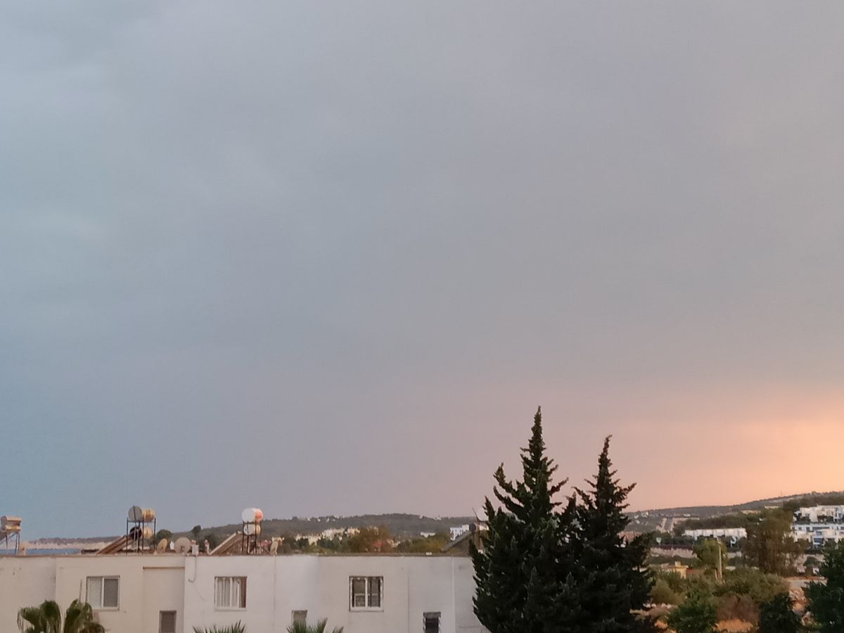 صورة المنشور