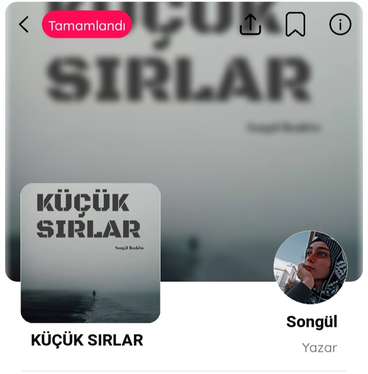 Gönderi görseli