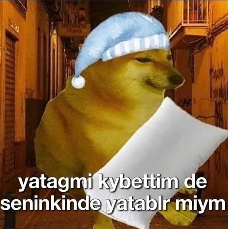 Gönderi görseli