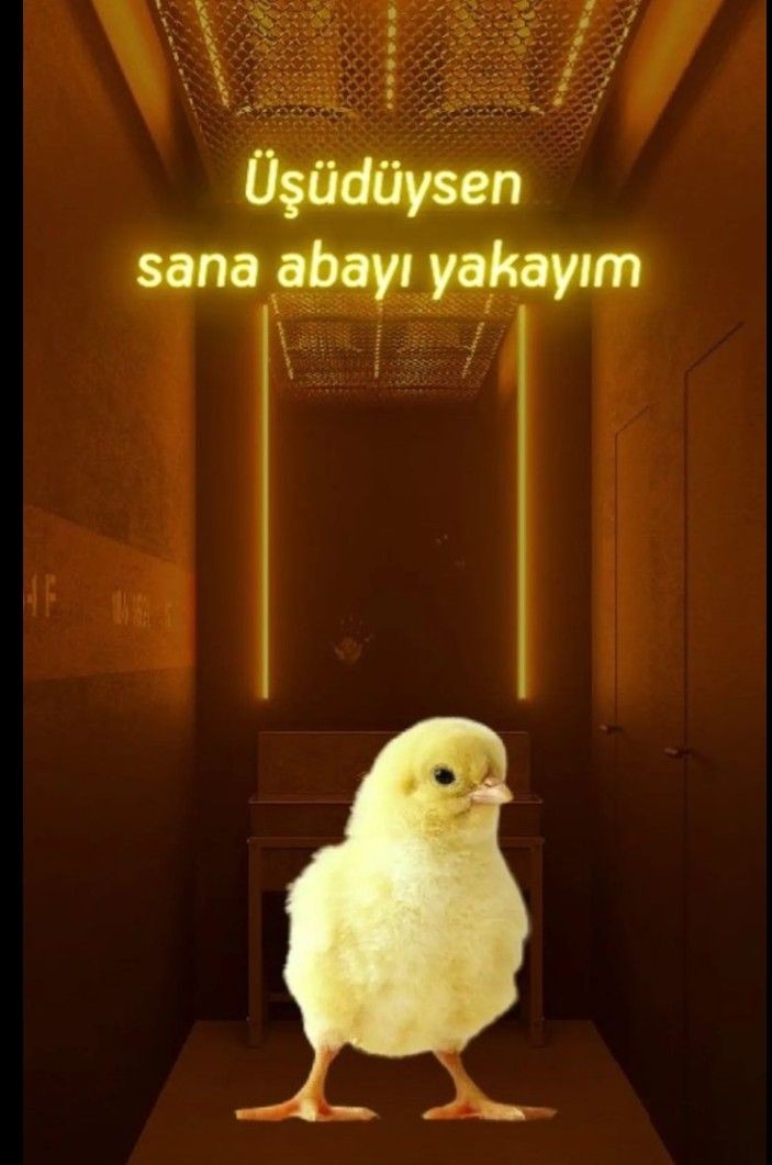 Gönderi görseli
