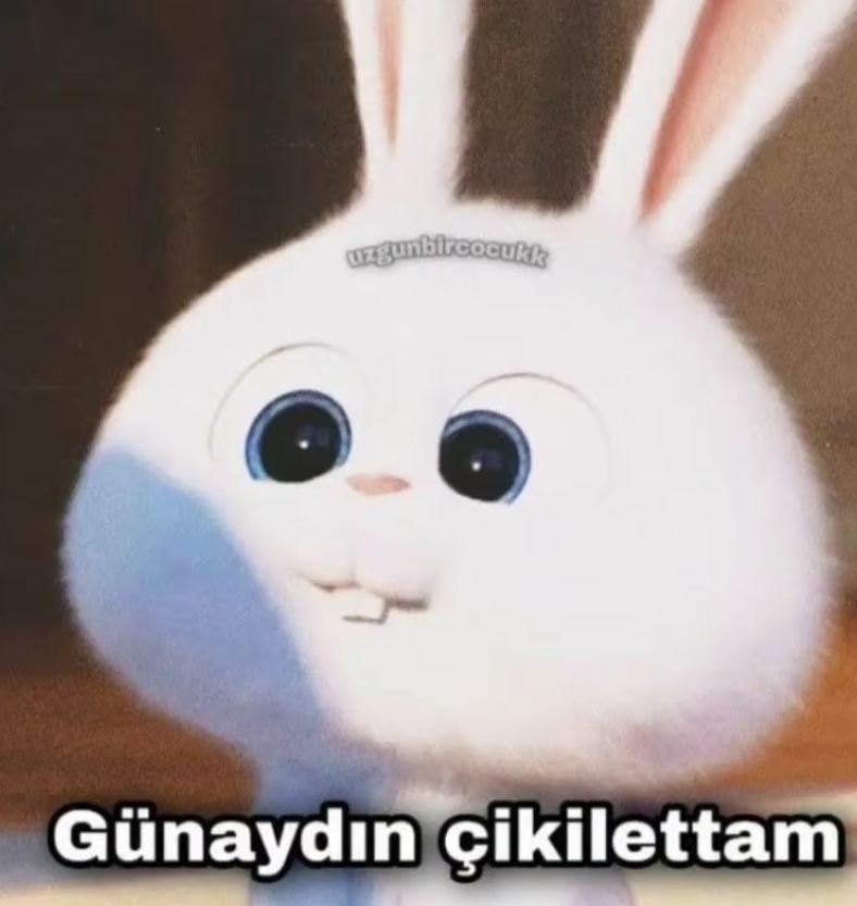 Gönderi görseli