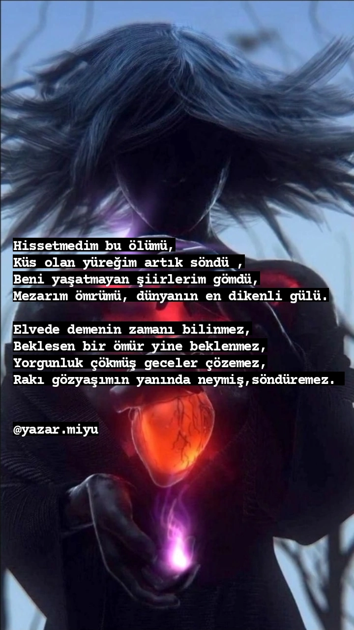 Gönderi görseli
