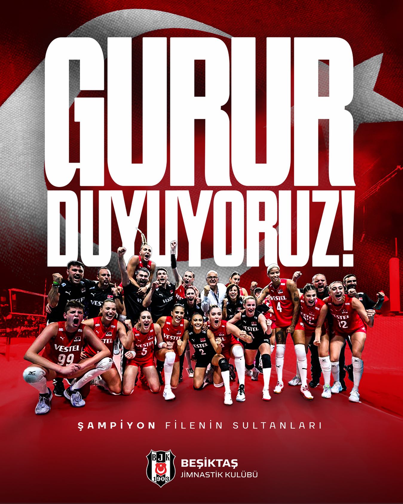 Gönderi görseli