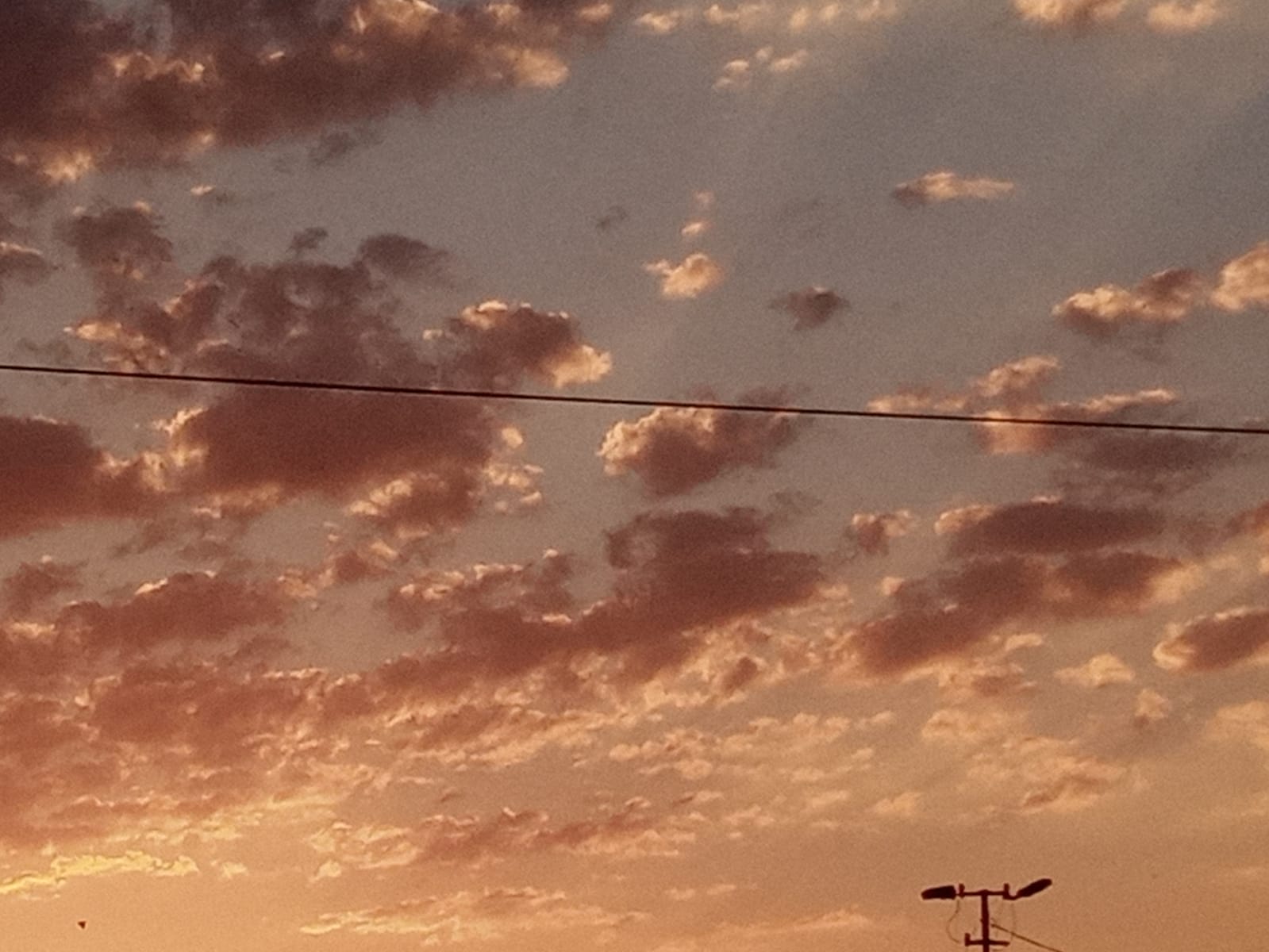 صورة المنشور