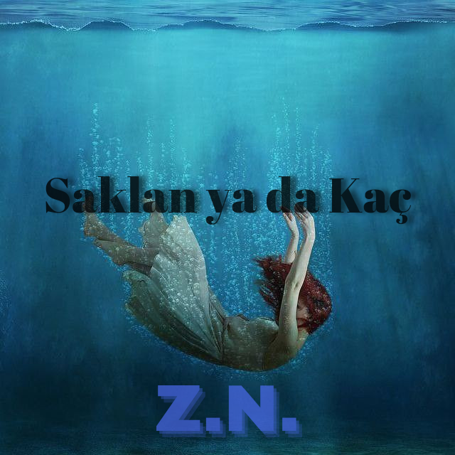 صورة المنشور