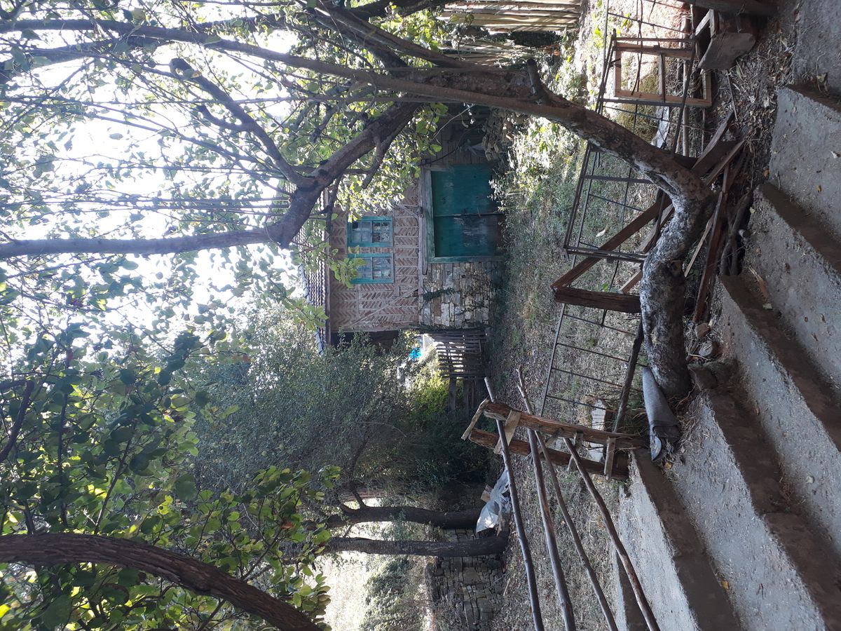 Gönderi görseli