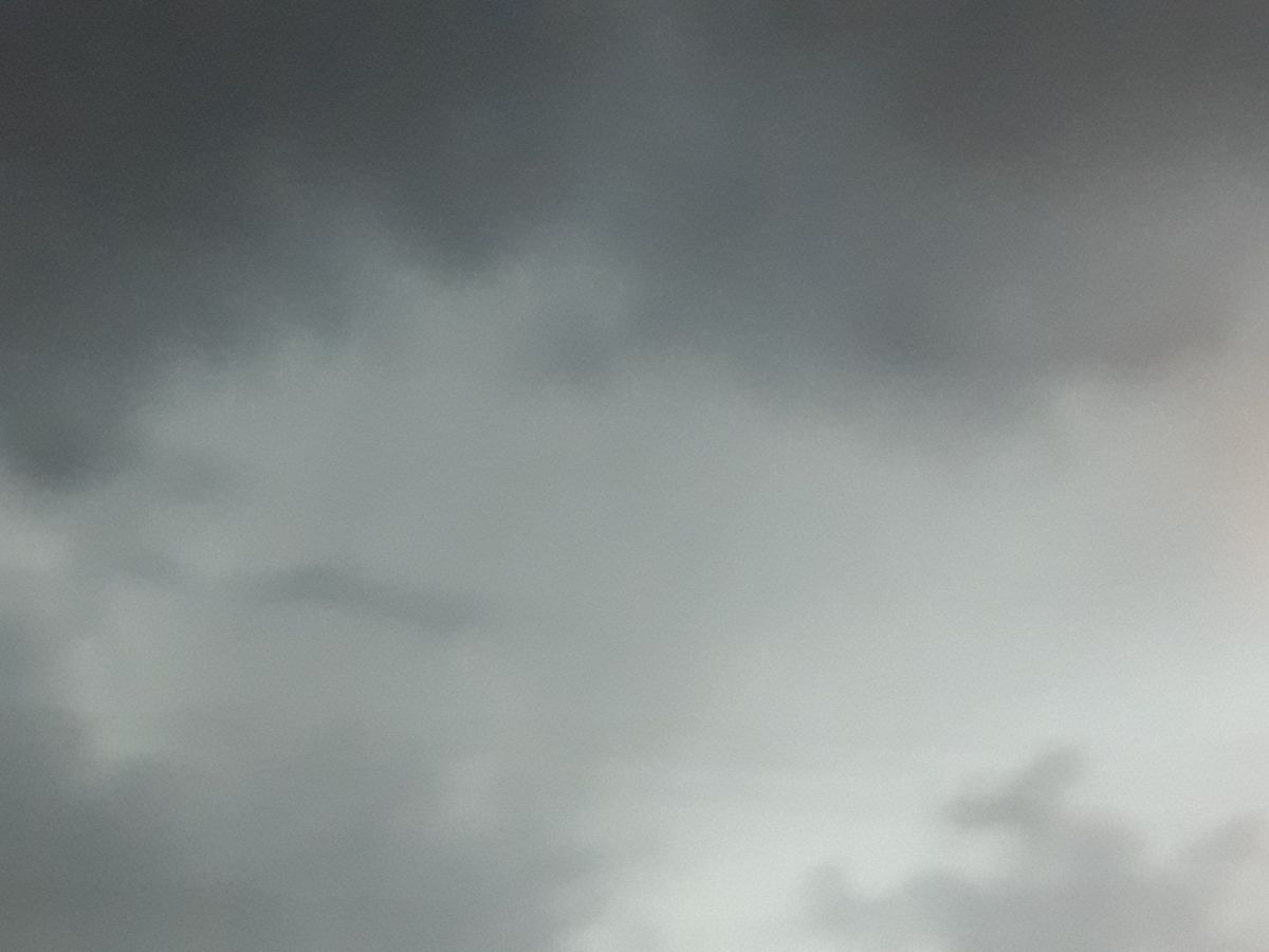 صورة المنشور