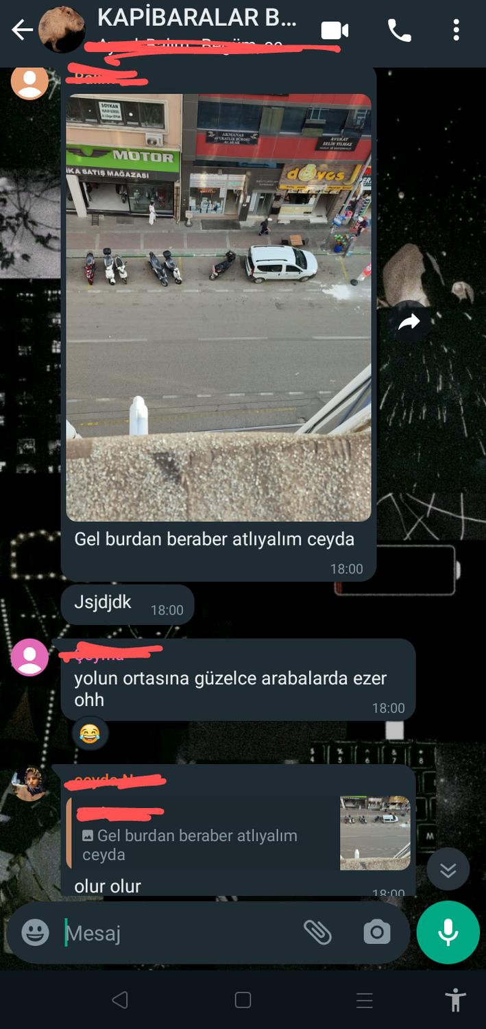 صورة المنشور