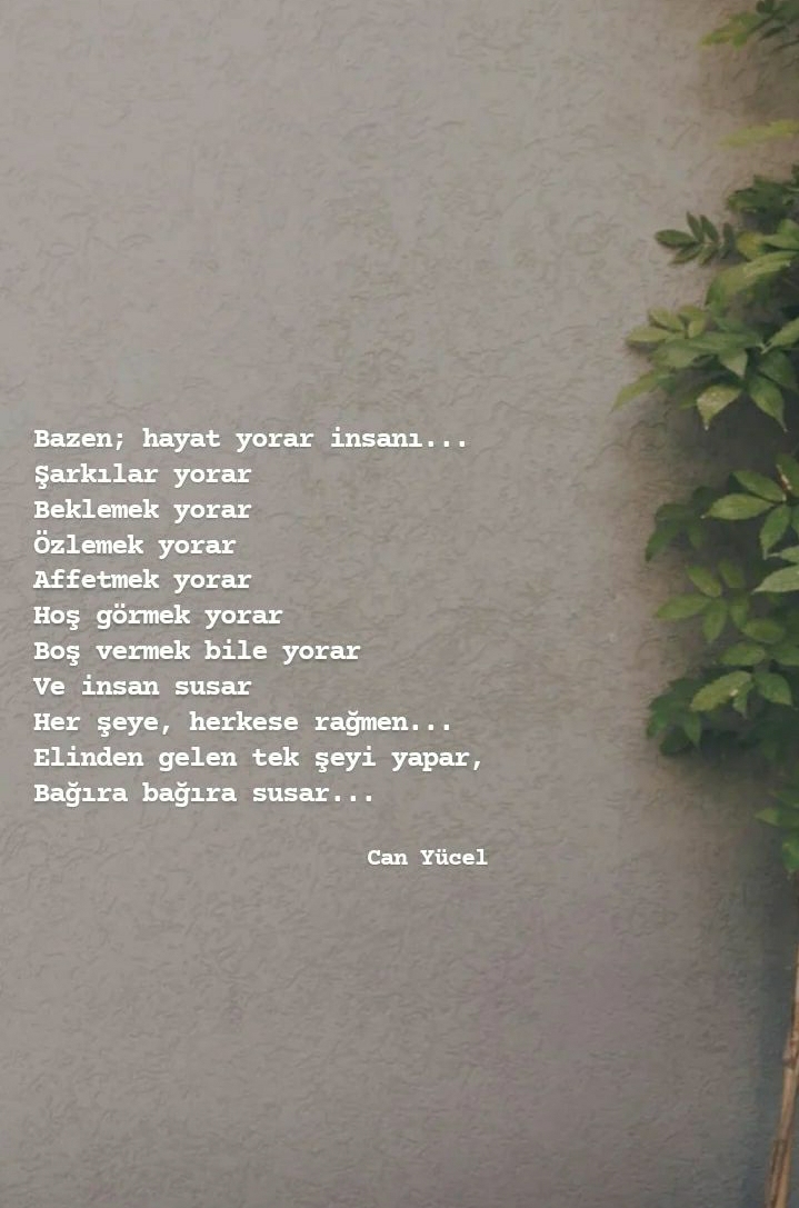 Gönderi görseli