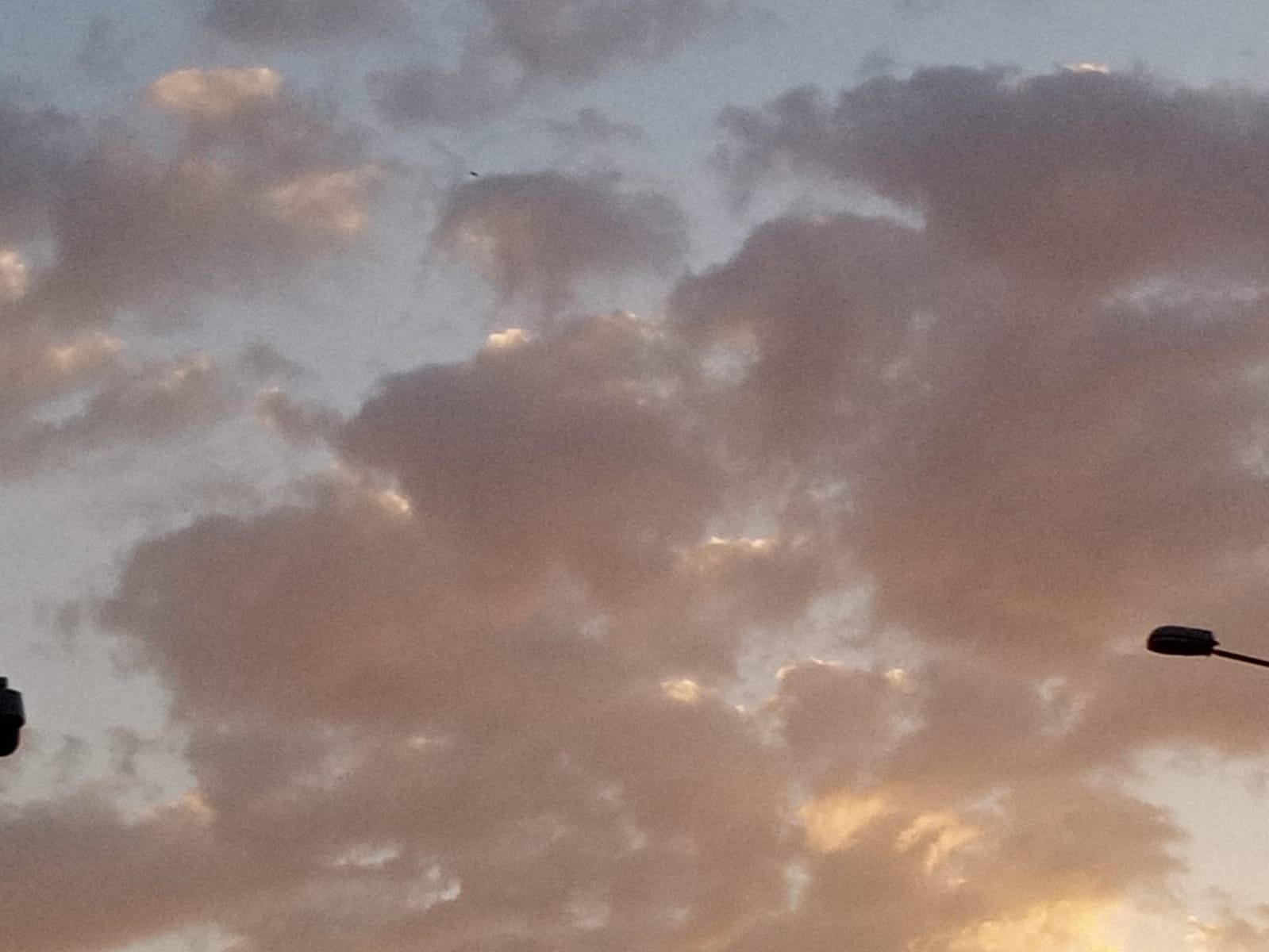 صورة المنشور
