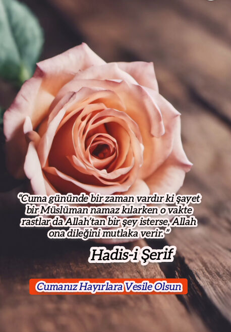 Gönderi görseli