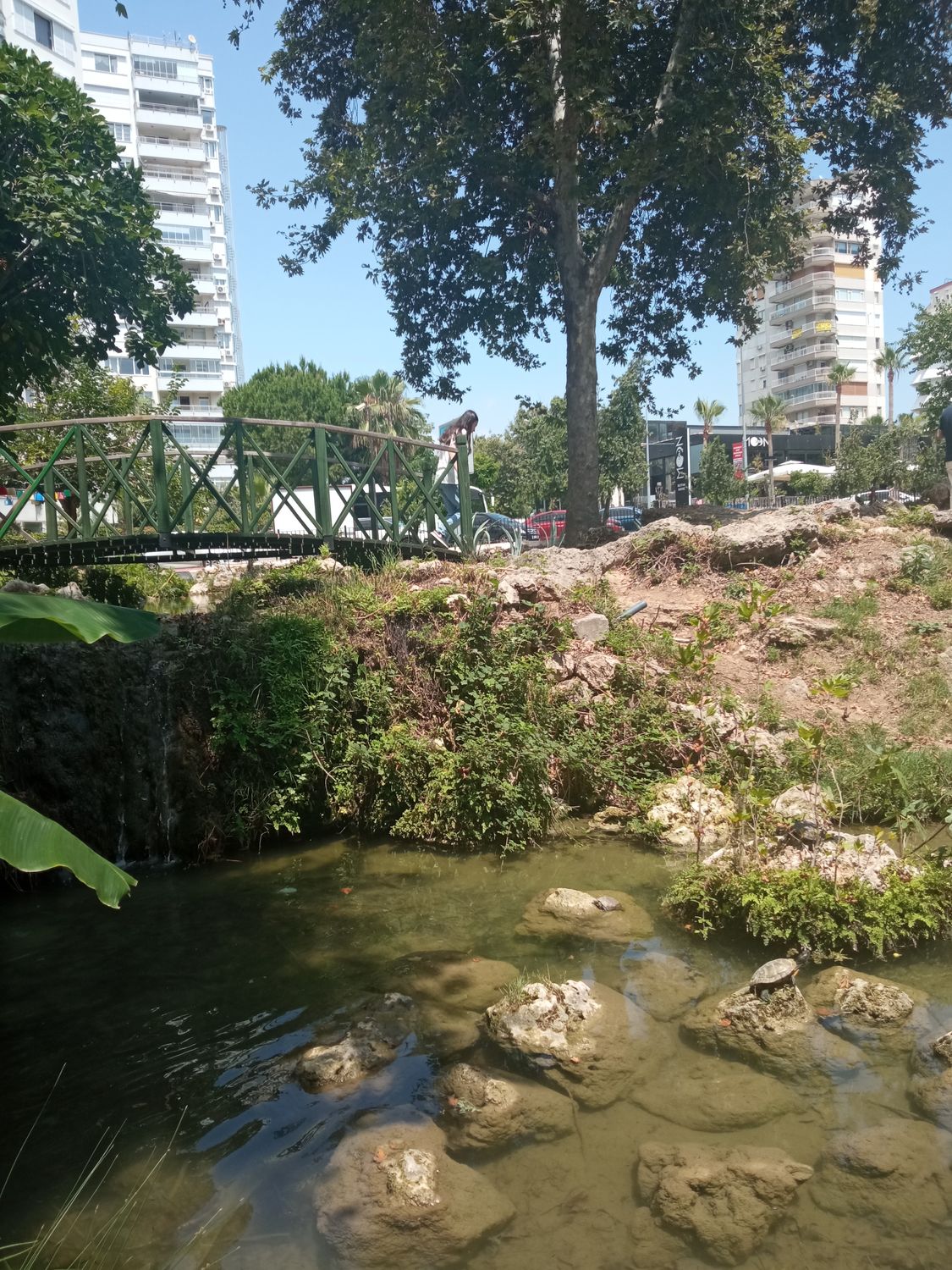 Gönderi görseli