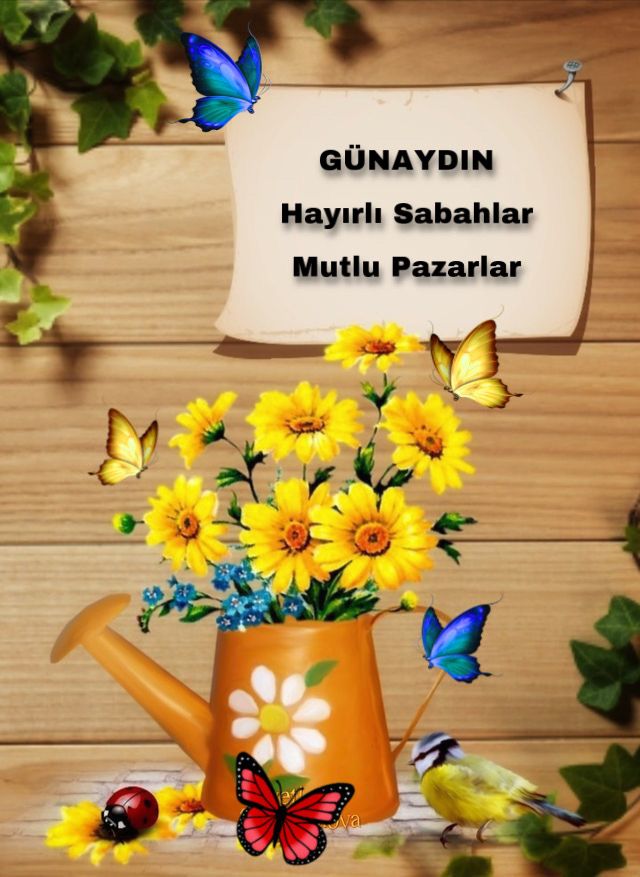 Gönderi görseli