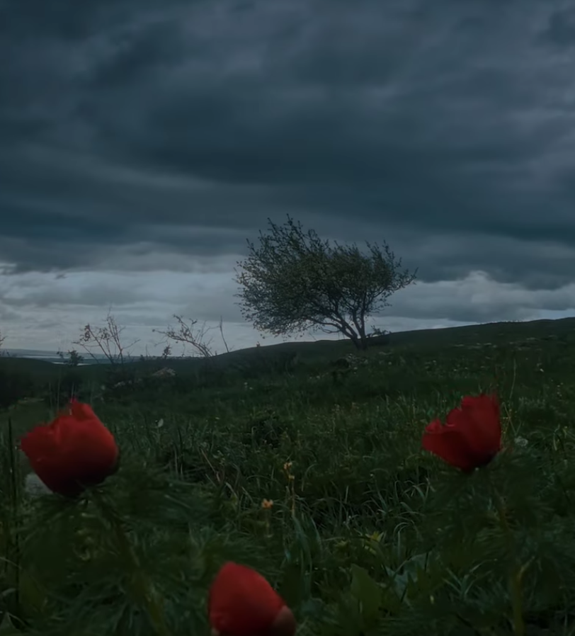صورة المنشور