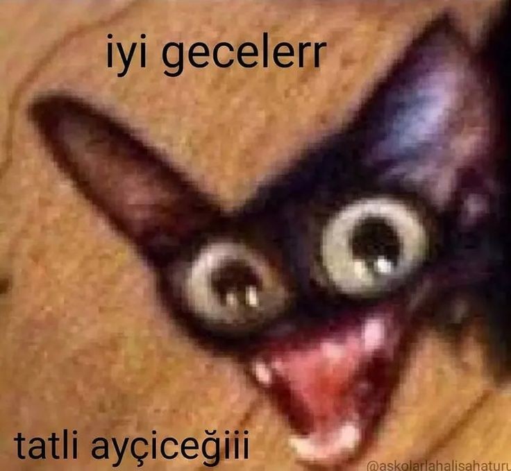 Gönderi görseli
