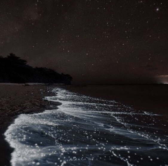 صورة المنشور