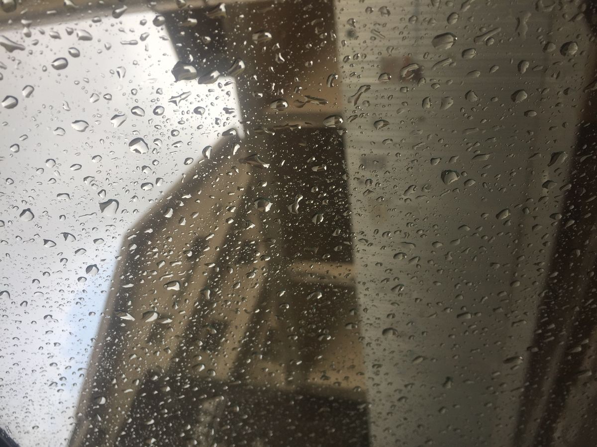 صورة المنشور