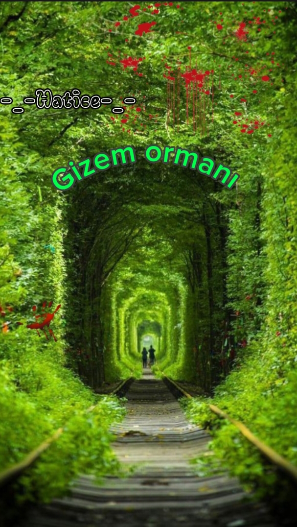 Gönderi görseli