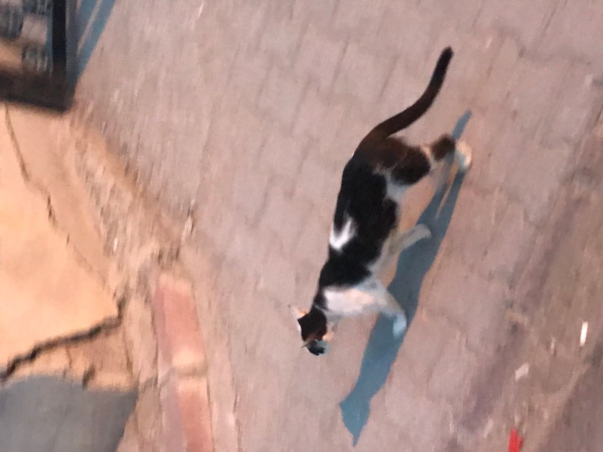 صورة المنشور