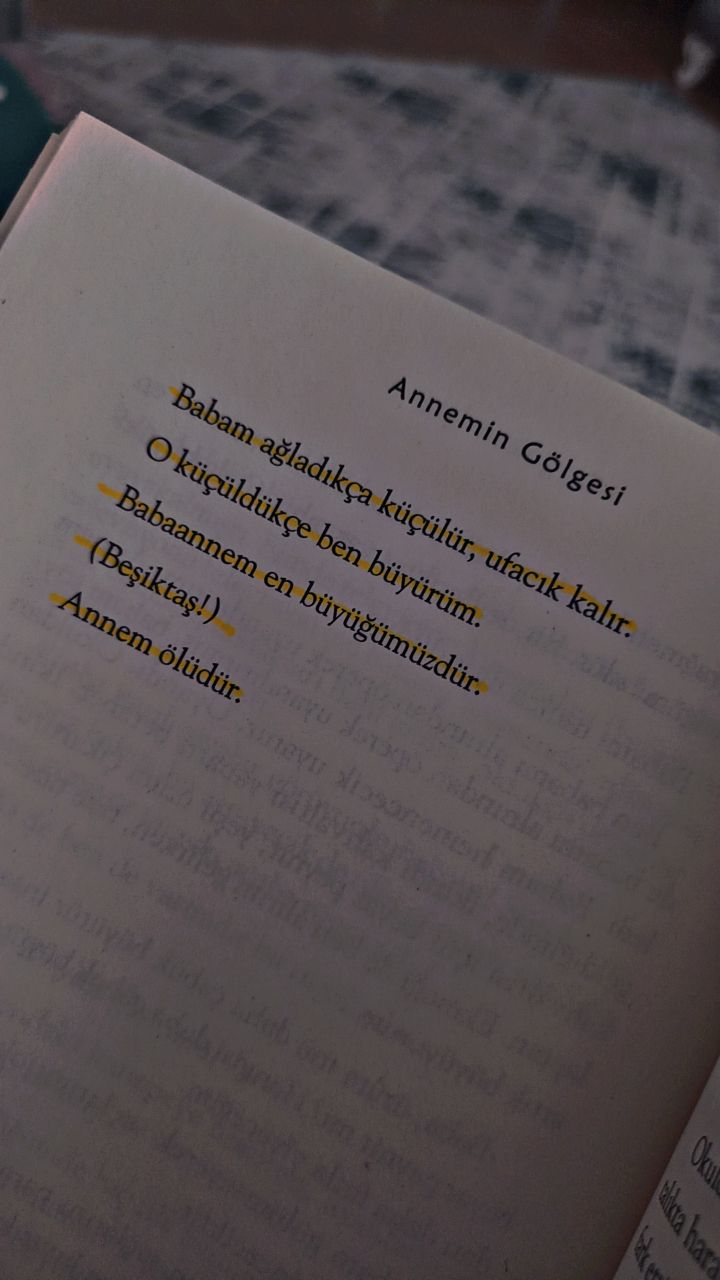 صورة المنشور
