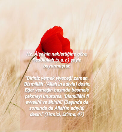 Gönderi görseli