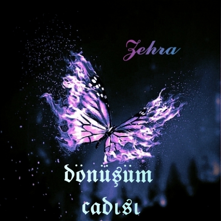 Gönderi görseli