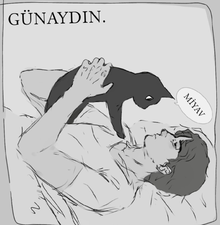 Gönderi görseli