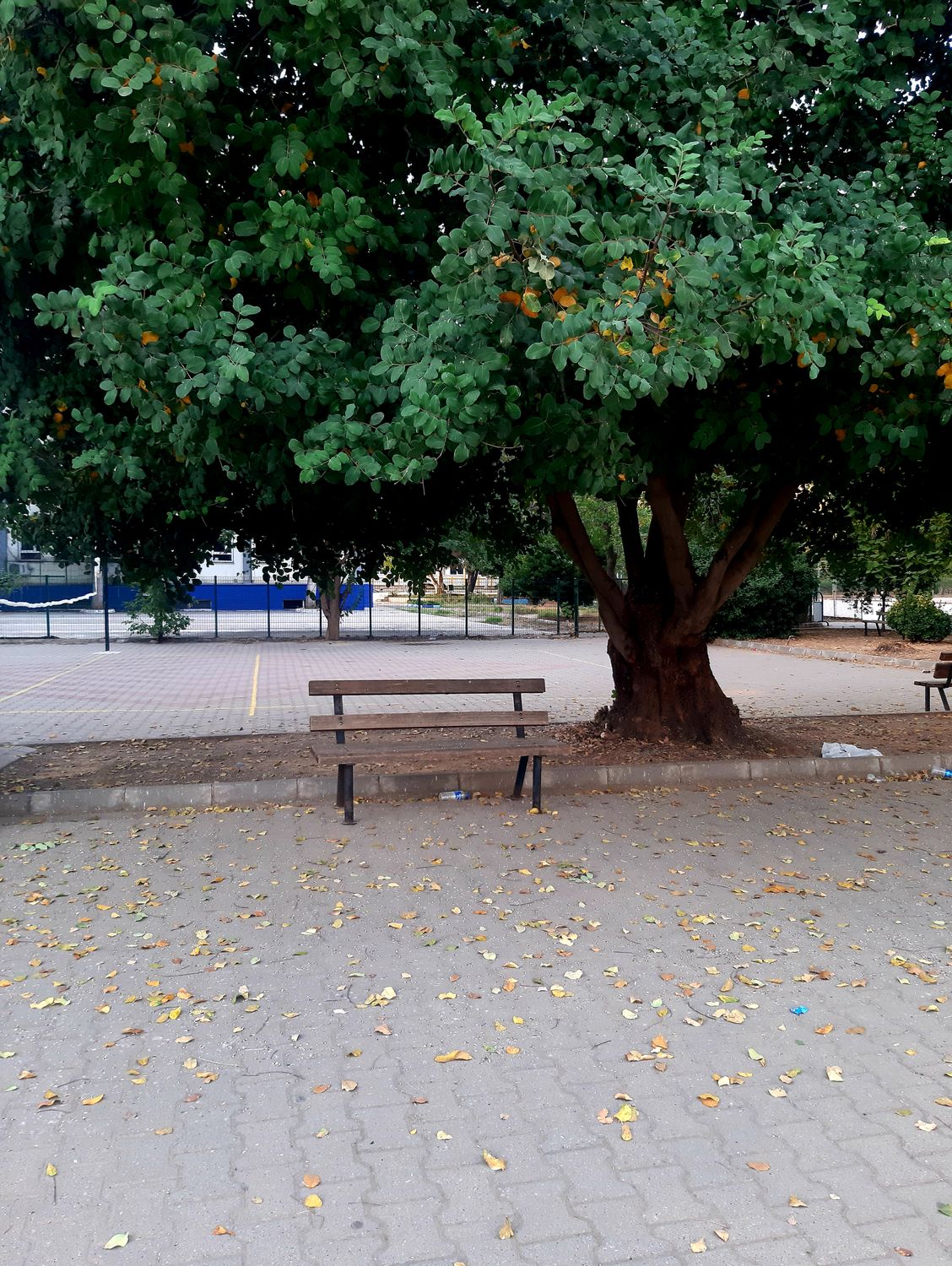 Gönderi görseli