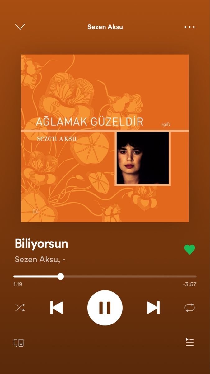 Gönderi görseli