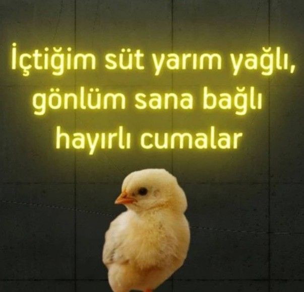 Gönderi görseli